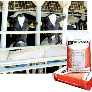 Solutrace FE Drench | Agvance