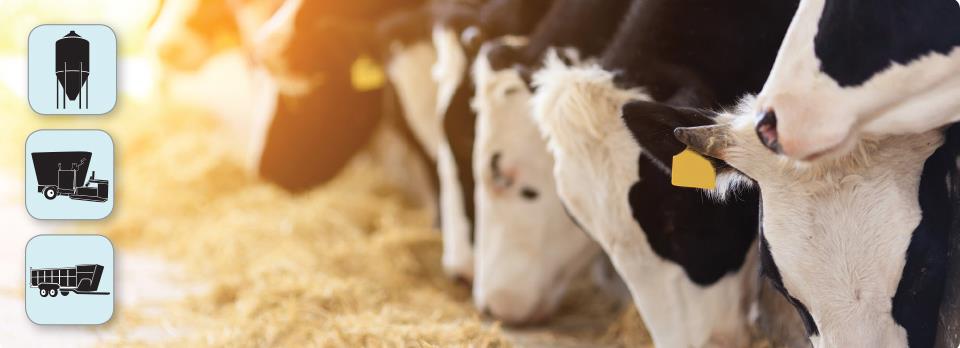 Heat Stress prevention in dairy cows | Agvance Nutrition New Zealand