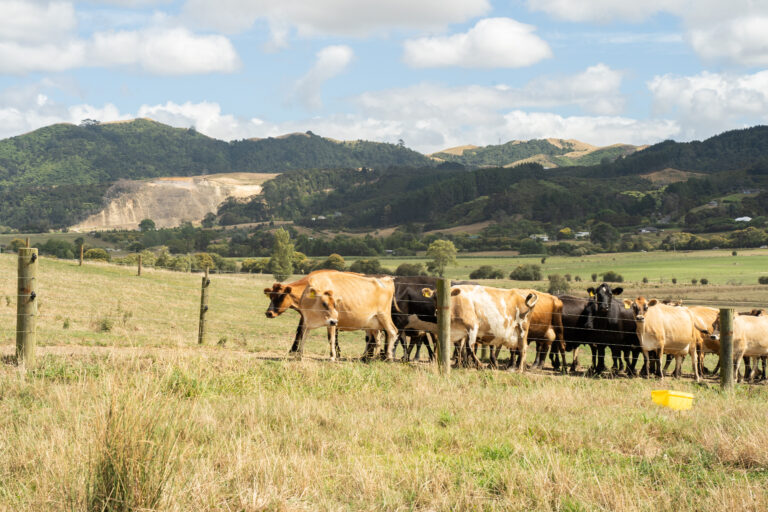 Research shows mineral imbalances or deficiencies are directly related to higher empty rates.