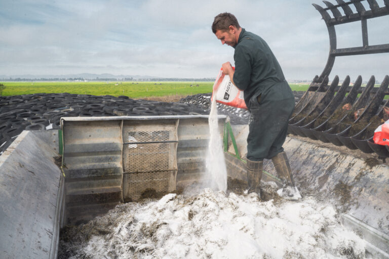 Why does mineral bioavailability matter