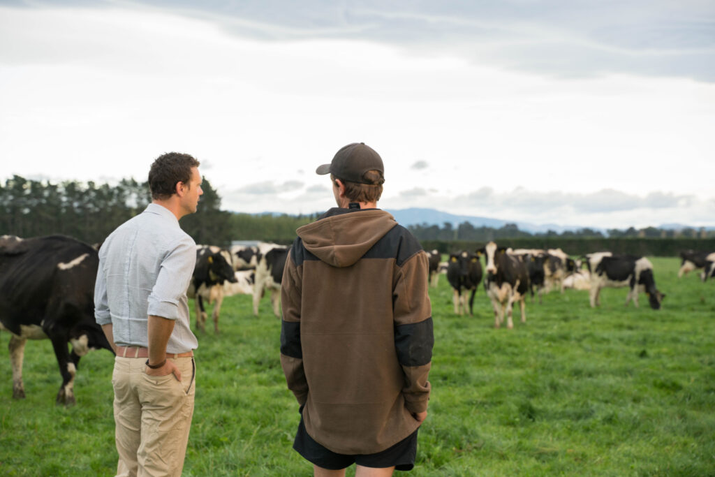 Agvance ruminant nutritionist and dairy farmer discussing feeding minerals in field of dairy cows