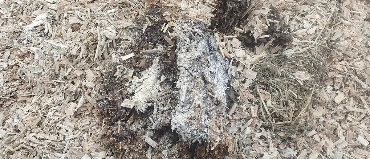 Novasil-plus-mineral